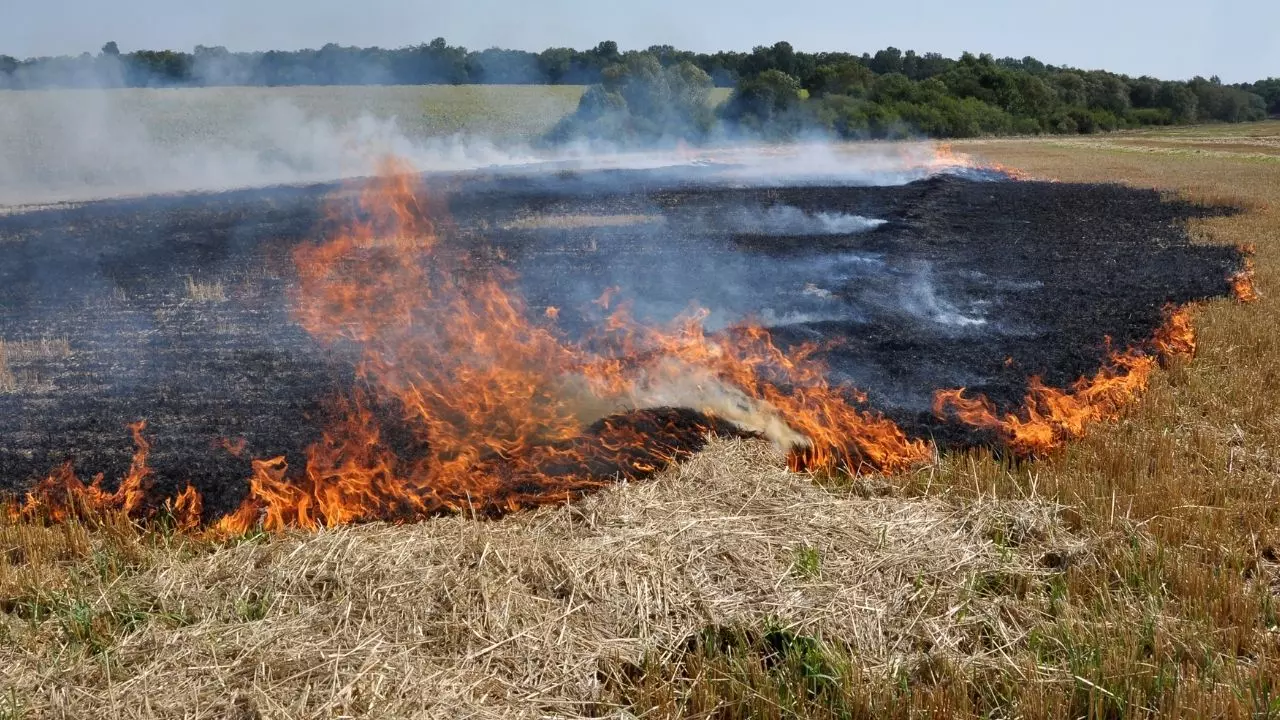 सुप्रीम कोर्ट की चेतावनी भी बेअसर, पंजाब में अब तक पराली जलाने के 62 मामले, 14 एफआईआर दर्ज