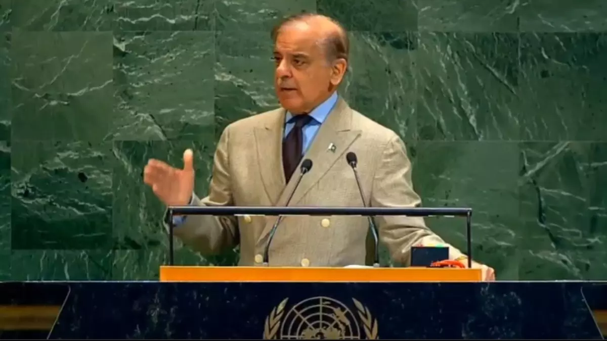 हमने 7 इंडियन जेट्स मार गिराए... पाक PM ने UNGA में खोला झूठ का पिटारा! कहा- ट्रंप ने कराया सीजफायर, उन्हें मिलना चाहिए नोबेल