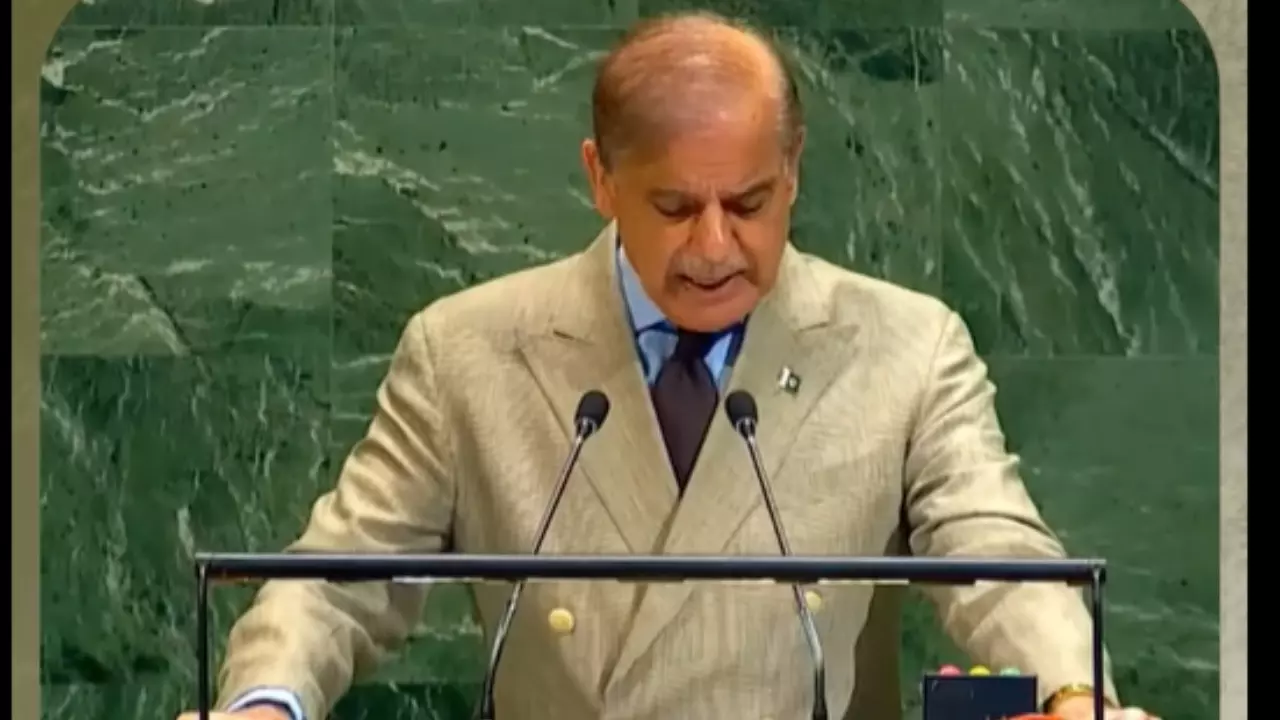 UN में पाकिस्तान फिर हुआ बेनकाब, शहबाज शरीफ के सामने उठे क्रॉस बॉर्डर टेररिज्म पर सवाल, दिया रटा-रटाया जवाब