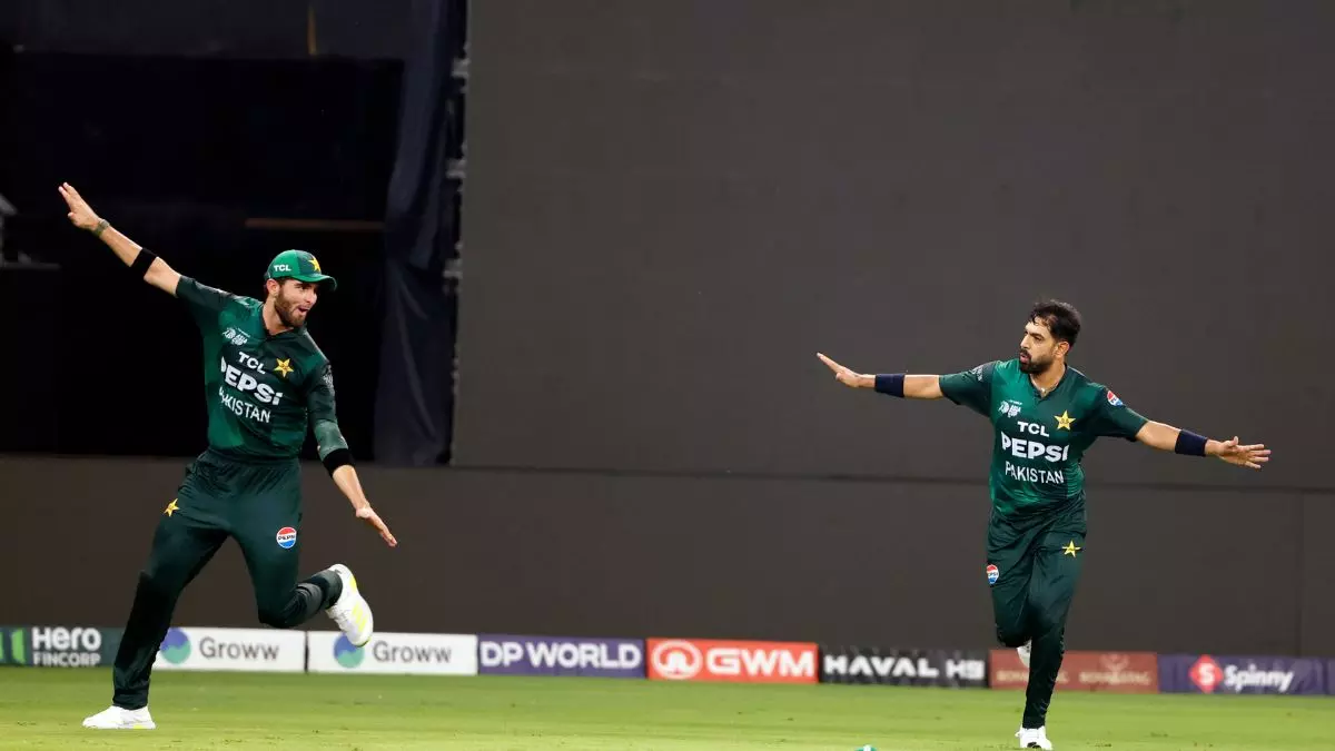 हर जगह इसने मार खाई है... Harish Rauf पर जमकर भड़के पूर्व क्रिकेटर, बोले- कप्तान को इसे डेथ ओवर में गेंदबाजी नहीं देनी चाहिए