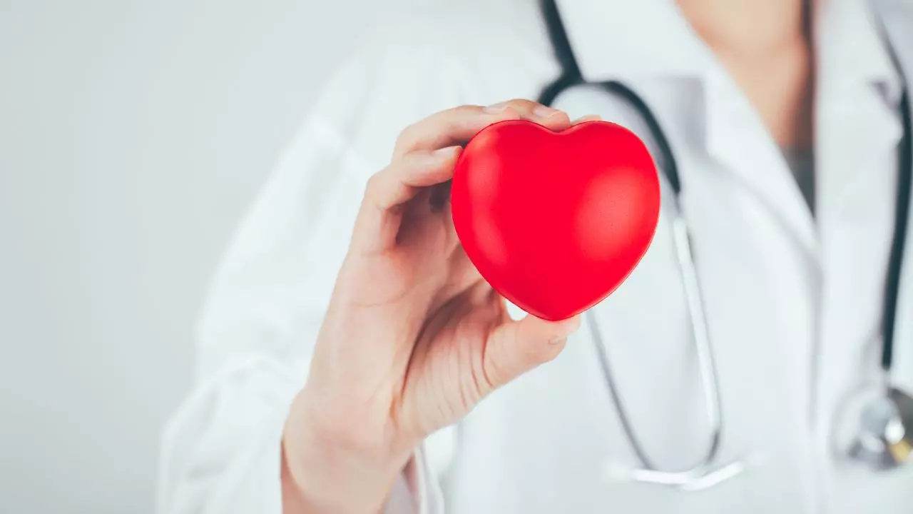 World Heart Day पर जानें दिल को हेल्दी रखने के आसान तरीके, यंग एज में भी हार्ट अटैक का खतरा World Heart Day पर जानें दिल को हेल्दी रखने के आसान तरीके, यंग एज में भी हार्ट अटैक का खतरा