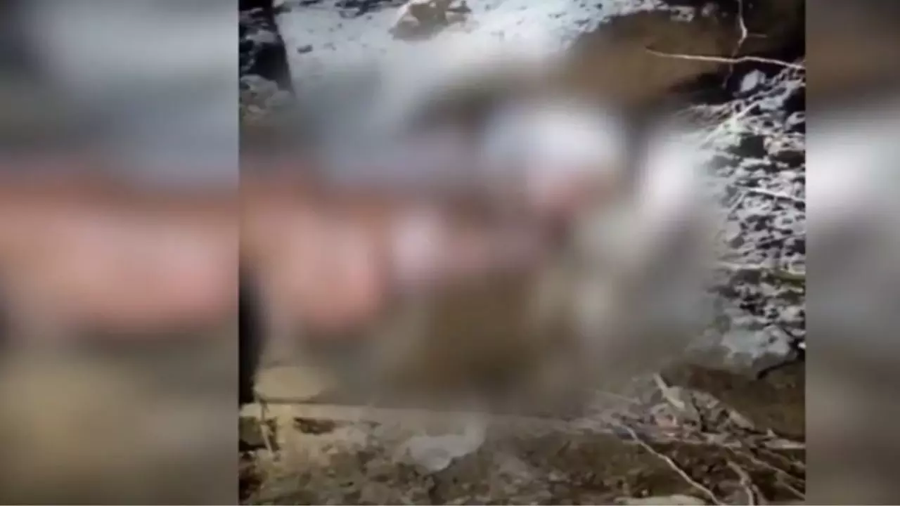सरकारी नौकरी बचाने के चक्कर में मां-बाप ने बेटे को जिंदा दफनाया! रोने की आवाज सुनकर ग्रामीणों ने बचाई जान सरकारी नौकरी बचाने के चक्कर में मां-बाप ने बेटे को जिंदा दफनाया! रोने की आवाज सुनकर ग्रामीणों ने बचाई जान
