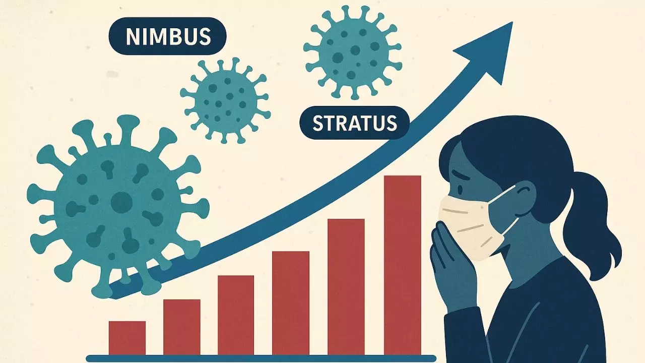 सर्दियां आने से पहले फिर सिर उठा रहा कोरोना, Nimbus और Stratus वेरिएंट्स दुनिया भर में बढ़ा रहे चिंता सर्दियां आने से पहले फिर सिर उठा रहा कोरोना, Nimbus और Stratus वेरिएंट्स दुनिया भर में बढ़ा रहे चिंता