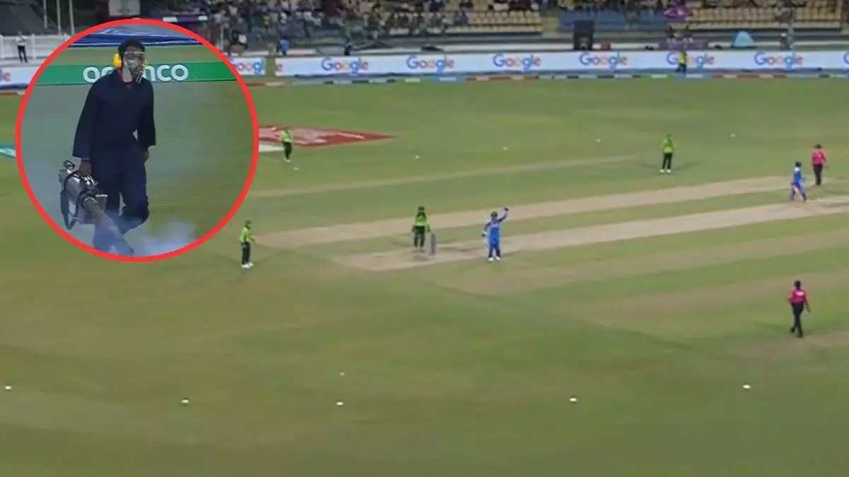 IND W Vs PAK W: न बारिश और न ही खराब रोशनी, मच्छरों ने 15 मिनट के लिए रोक दिया भारत-पाकिस्तान का वर्ल्डकप मैच
