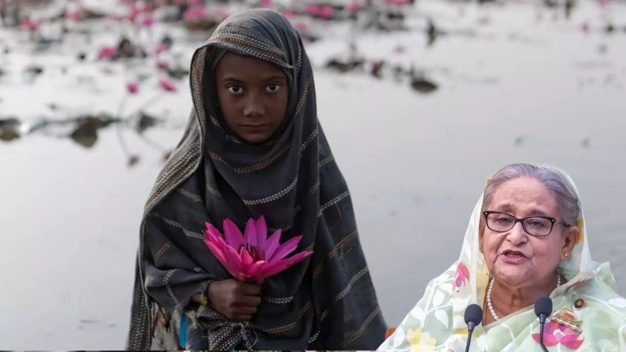 Water Lily Controversy: शेख हसीना का तख्तापलट करने वाली पार्टी ने क्यों मांगा बांग्लादेश का राष्ट्रीय पुष्प चुनाव चिह्न? Water Lily Controversy: शेख हसीना का तख्तापलट करने वाली पार्टी ने क्यों मांगा बांग्लादेश का राष्ट्रीय पुष्प चुनाव चिह्न?