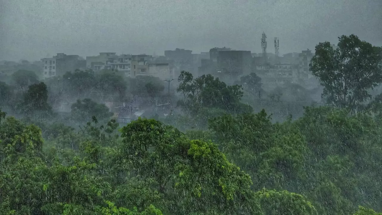 दिल्ली-एनसीआर में आज बारिश का गदर, यूपी-राजस्थान में भारी बारिश और ओलावृष्टि का अलर्ट; जानें अन्य राज्यों का हाल