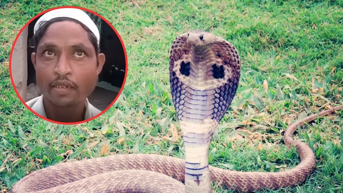 साहब! मेरी पत्नी रात में नागिन बनकर मुझे डराती है... सीतापुर में शख्स ने DM से लगाई गुहार, कहा-  मुझे जान से मार डालेगी