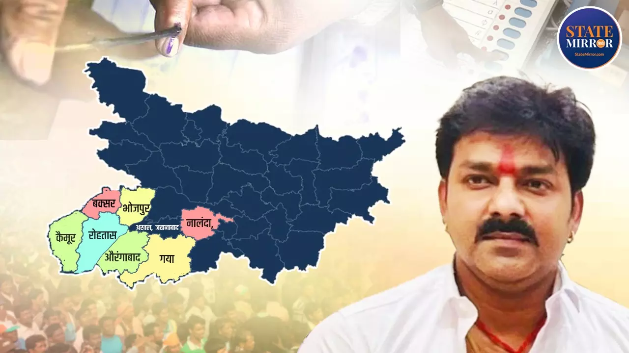 शाहाबाद-मगध की इन 48 सीटों पर कितना काम आएगा पवन सिंह का फैक्टर, क्या है समीकरण, NDA को कितना मिलेगा लाभ?