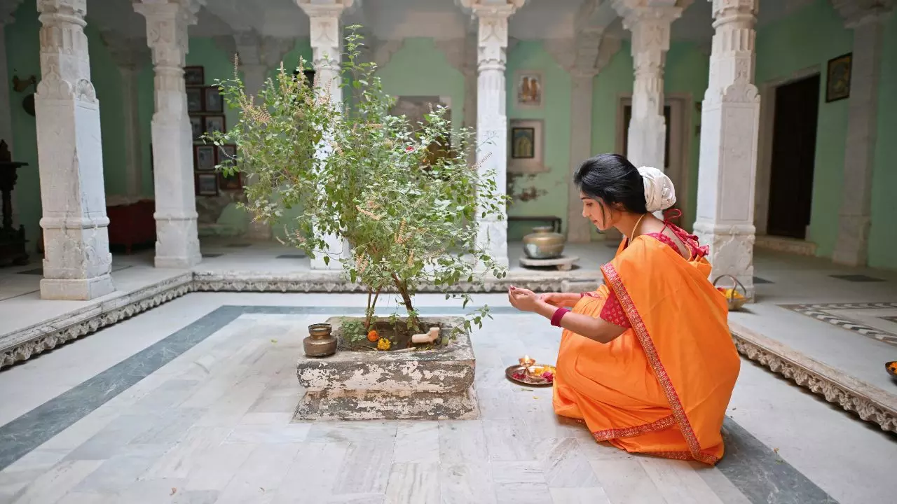 कार्तिक मास में तुलसी पूजा के दौरान ये 5 गलतियां कर लीं तो नहीं मिलेगा पुण्य, बन सकता है परेशानी की वजह कार्तिक मास में तुलसी पूजा के दौरान ये 5 गलतियां कर लीं तो नहीं मिलेगा पुण्य, बन सकता है परेशानी की वजह