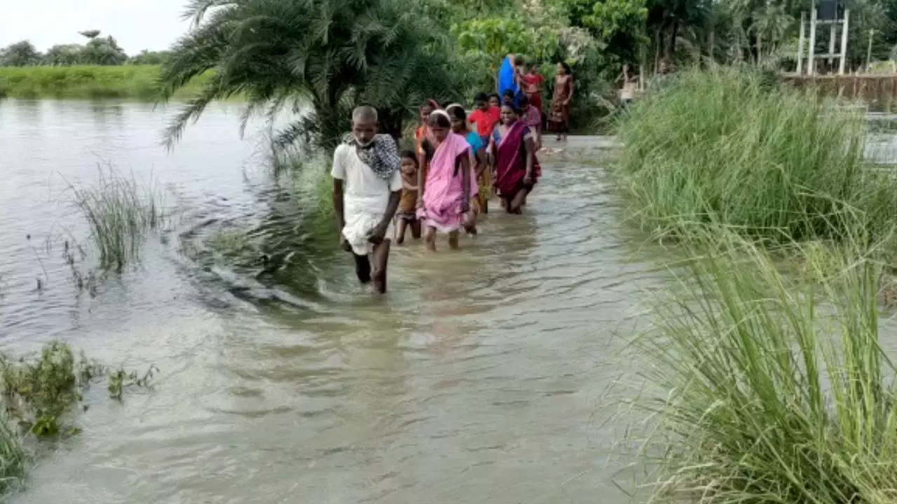 Image Credit: ANI Image Credit: ANI