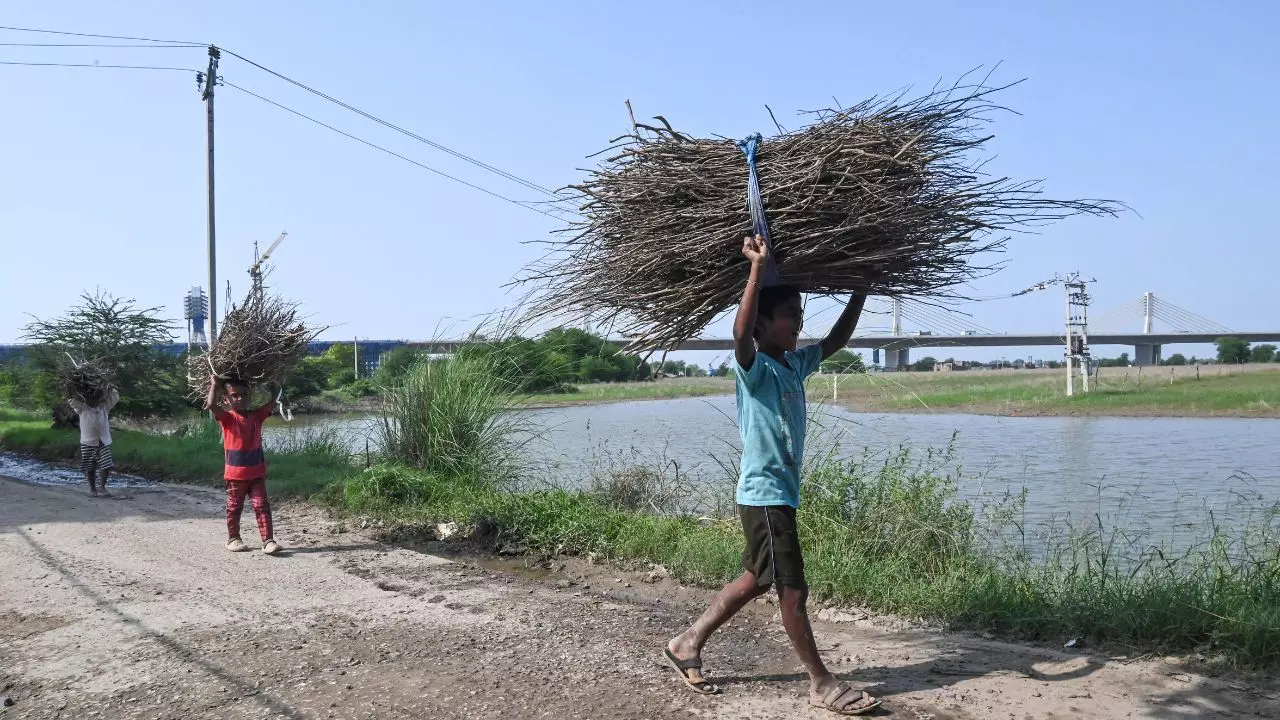 Image Credit: ANI Image Credit: ANI