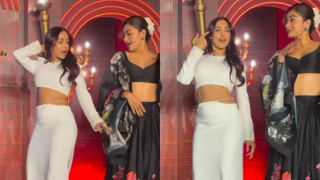 पॉइजन बेबी सॉन्ग इवेंट पर Malaika Arora के मूव्स ने लगाई आग, फीकी पड़ी नेशनल क्रश, बोले फैंस- रश्मिका के बस का नहीं