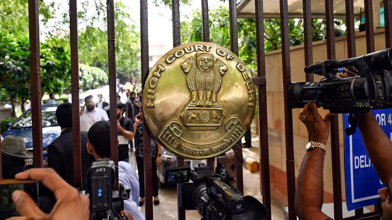 पत्नी को परजीवी कहना पड़ेगा भारी , दिल्ली हाईकोर्ट ने जताई नाराजगी, इससे पूरे नारी समाज का अपमान