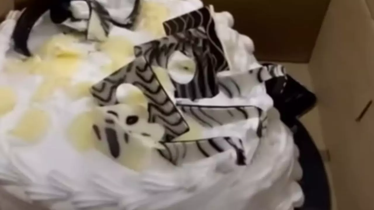 ऑर्डर किया चीज़केक और टॉपिंग में मिला चीज़ स्लाइस, मिर्जापुर में मां के लिए सरप्राइज बना डिजास्टर, VIDEO वायरल