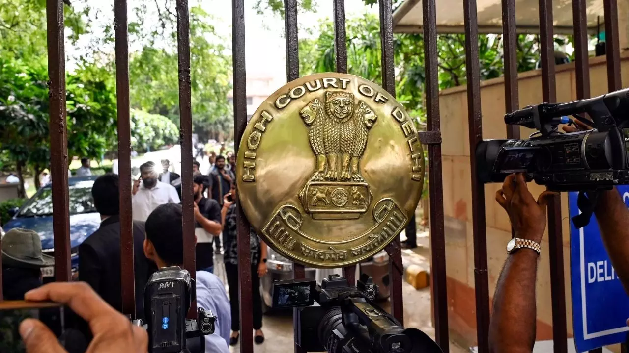 बेटे की मौत पर उसके स्पर्म को सुरक्षित रखने की मांग! दिल्ली HC ने माता-पिता को दी इजाजत