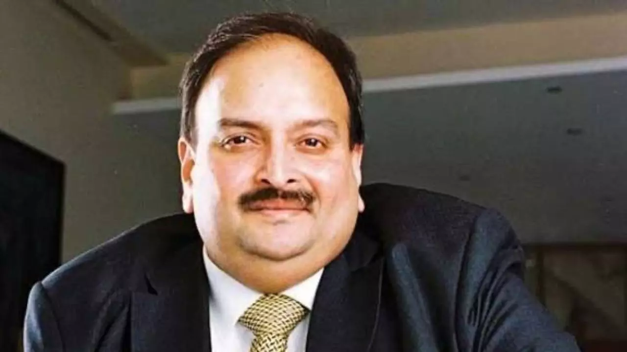 भागे हुए हीरा कारोबारी मेहुल की भारत वापसी तय! बेल्जियम कोर्ट ने दी प्रत्यर्पण की मंजूरी, PNB घोटाला से लेकर पढ़ें Choksi की कुंडली