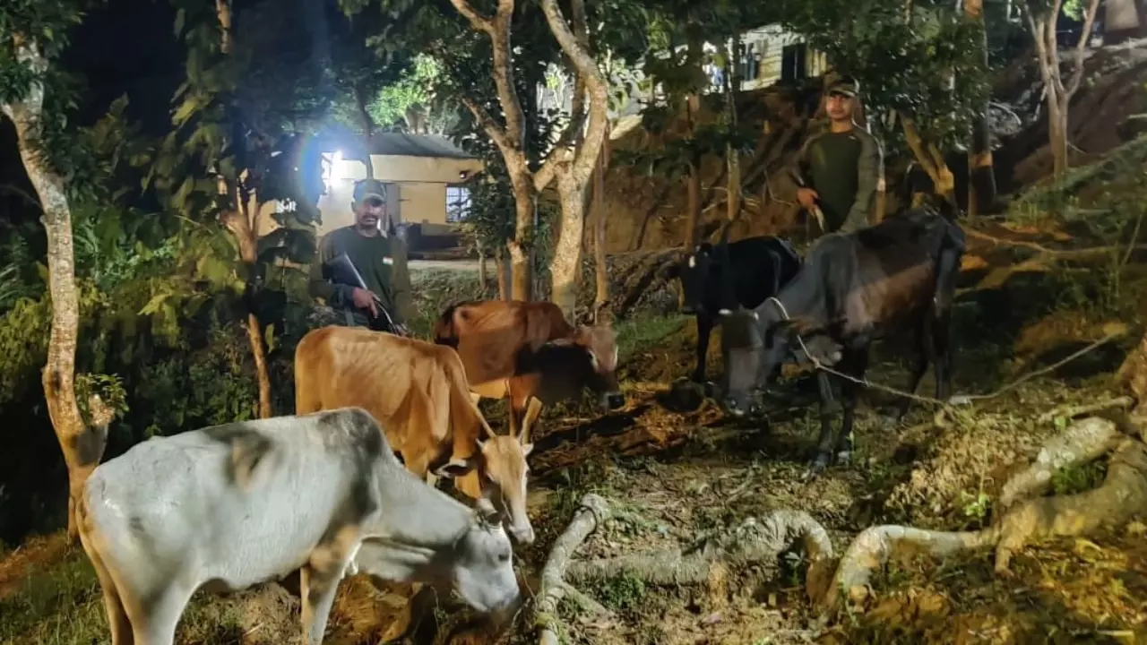 Tripura Bangladesh Border: तीन बांग्लादेशी पशु तस्करों की मौत, MEA ने की सुरक्षा बढ़ाने की मांग, बॉर्डर पर मची खलबली Tripura Bangladesh Border: तीन बांग्लादेशी पशु तस्करों की मौत, MEA ने की सुरक्षा बढ़ाने की मांग, बॉर्डर पर मची खलबली