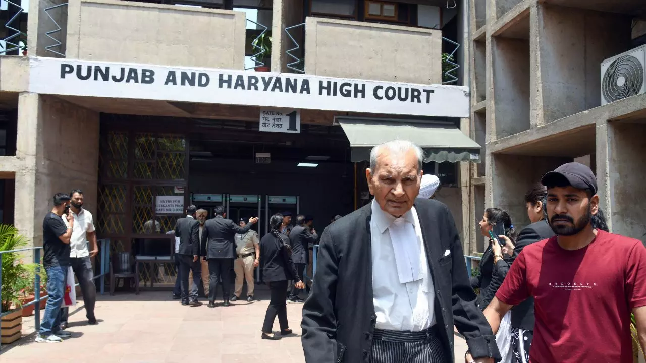 मृतक सैनिक का परिवार विशेष पेंशन का हकदार...पंजाब-हरियाणा HC का बड़ा फैसला