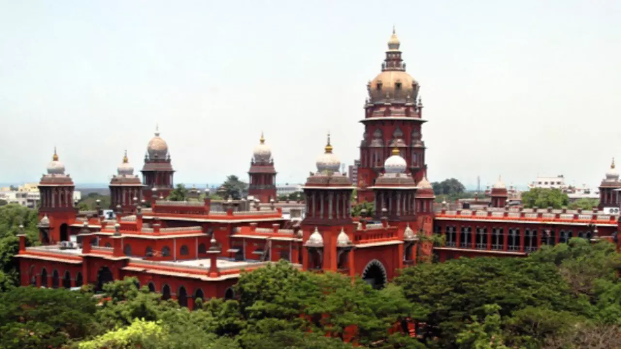 पत्नी का पॉर्न देखना और मास्टरबेशन करना तलाक का आधार नहीं मद्रास HC ने रद्द की व्यक्ति की याचिका