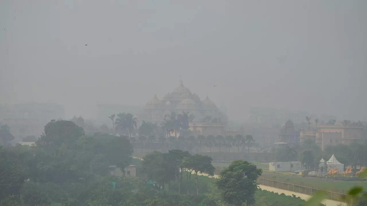 उत्तर भारत में सर्दी की चाल धीमी, नवंबर से बढ़ेगा असर; जानिए अन्य राज्यों के मौसम का हाल