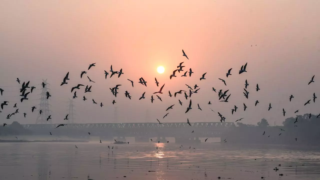 दिल्ली में धुंध और प्रदूषण का असर बरकरार, हिमाचल-उत्तराखंड में बारिश और बर्फबारी का अलर्ट