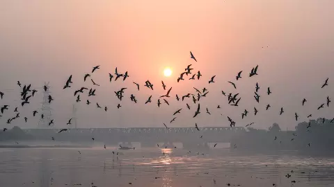 दिल्ली में धुंध और प्रदूषण का असर बरकरार, हिमाचल-उत्तराखंड में बारिश और बर्फबारी का अलर्ट दिल्ली में धुंध और प्रदूषण का असर बरकरार, हिमाचल-उत्तराखंड में बारिश और बर्फबारी का अलर्ट