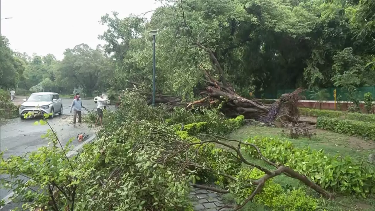 मोंथा’ तूफान का खतरा बढ़ा, मचाएगा तबाही; दिल्ली-एनसीआर-यूपी और बिहार में बारिश का अलर्ट