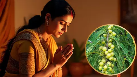 कब है आंवला नवमी, क्यों होती है इस दिन आंवले के पेड़ की पूजा, माता लक्ष्मी से जुड़ी है कथा कब है आंवला नवमी, क्यों होती है इस दिन आंवले के पेड़ की पूजा, माता लक्ष्मी से जुड़ी है कथा