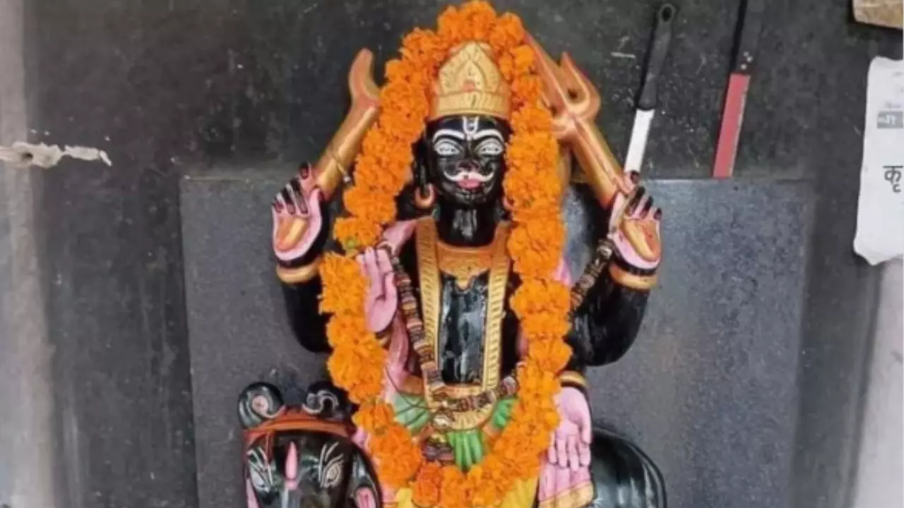 शनिवार को करें पीपल के खास उपाय, शनिदेव की कृपा से मिलेगी हर संकट से मुक्ति