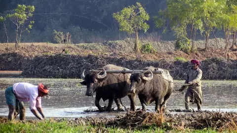 PM Kisan 21वीं किस्त: जानिए कब किसानों के खाते में आएंगे 2000 रुपये, क्या इस वजह वजह से अटकी है रकम?
