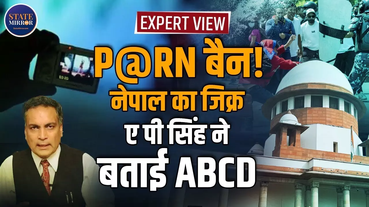 Expert View: जब सोशल मीडिया और इंटरनेट पर सब खुलेआम उपलब्ध है तो Pornography से कैसे बचें युवा?