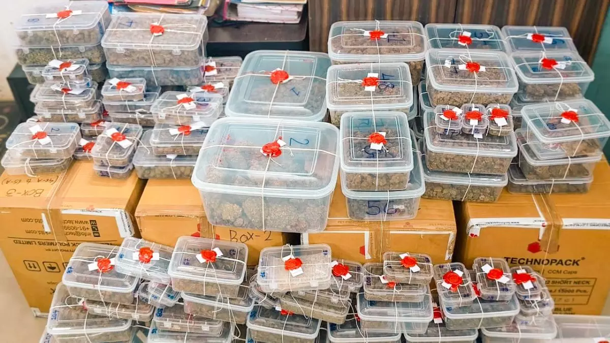 रोज हो रही पुलिस पेट्रोलिंग, फिर भी खुलेआम हो रही ड्रग्स की सप्लाई; लोग कर रहे ये मांग