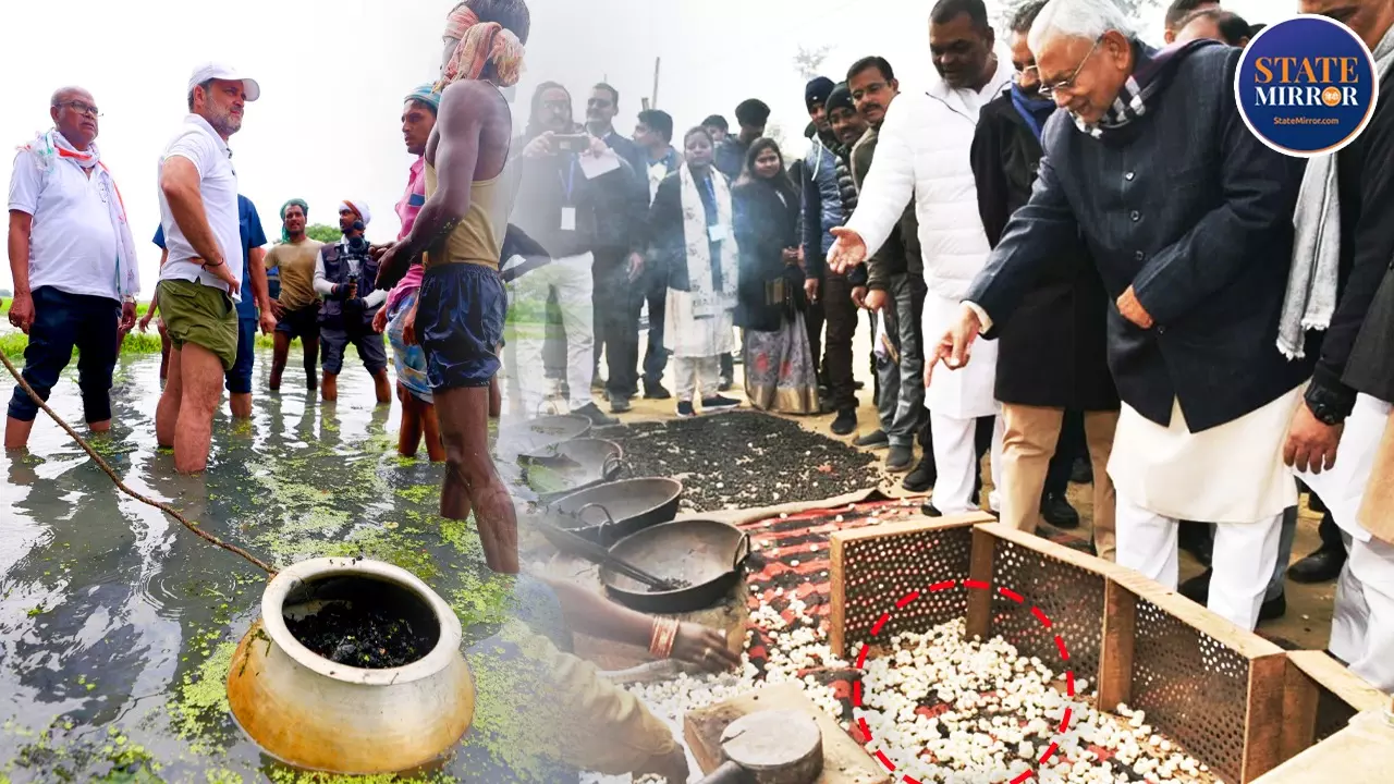 मखाना बेल्ट में कौन कितने पानी में? एनडीए को होगा ‘मखाना बोर्ड’ का फायदा या महागठबंधन मारेगा बाजी?