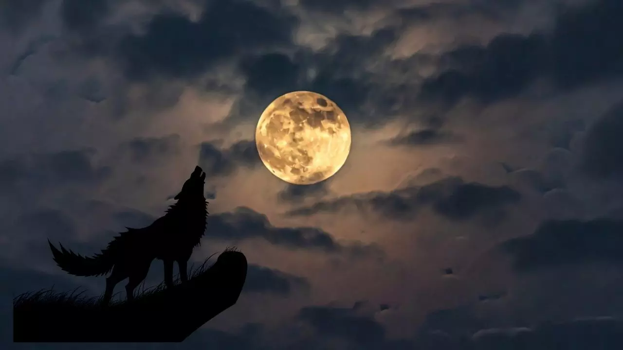 क्या होता है Wolf Moon, कब और कहां देख पाएंगे?