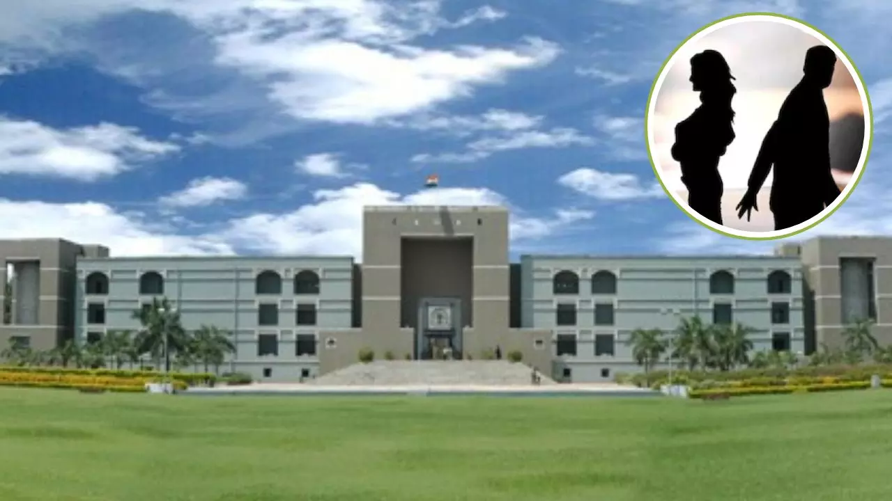 पत्‍नी के ‘स्‍ट्रे डॉग्‍स प्रेम’ से टूटी शादी! पति बोला- तनाव में आया, ‘इरेक्‍टाइल डिसफंक्‍शन’ तक हो गया