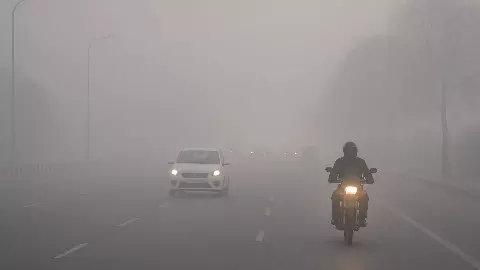 Weather Update: 14 नवंबर को दिल्ली में हल्के कोहरे का अलर्ट, यूपी में चलेगी सर्द हवाएं; जानें अपने राज्य का हाल
