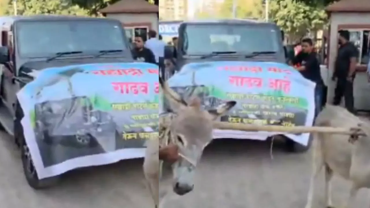 बार-बार खराब हो रही Thar, मालिक को आया गुस्सा तो गधों से खिंचवाकर पहुंचाया शोरूम- Video देख यूजर्स बोले- गजब टोपीबाज...