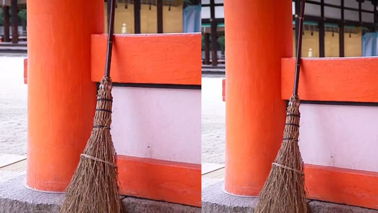 फूल और सीक वाली झाड़ू  एक साथ रखना होता है शुभ?  जानें कहां और कैसे रखें