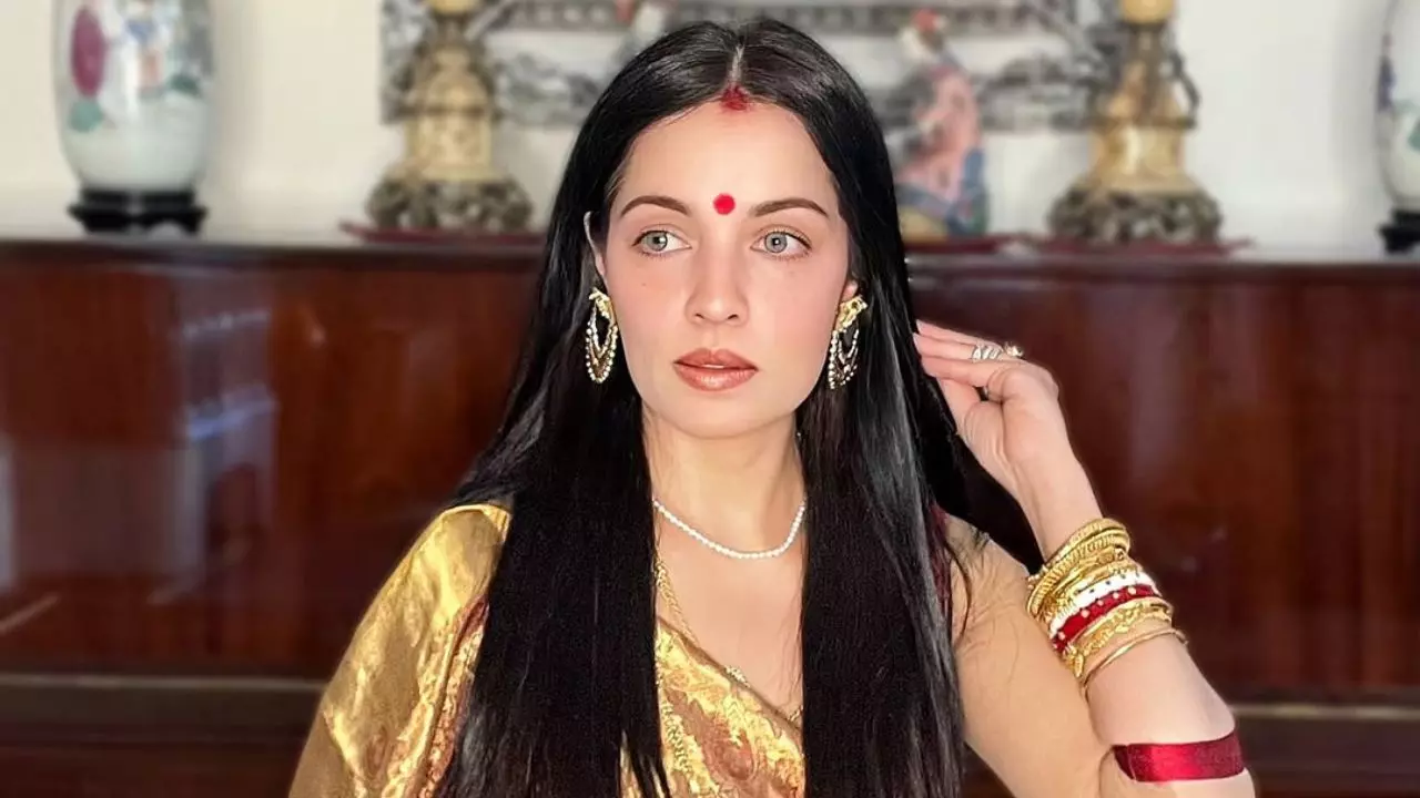घरेलू हिंसा का शिकार हुईं Celina Jaitly, ऑस्ट्रियाई पति के खिलाफ पहुंचीं कोर्ट; मारपीट और छेड़छाड़ का आरोप