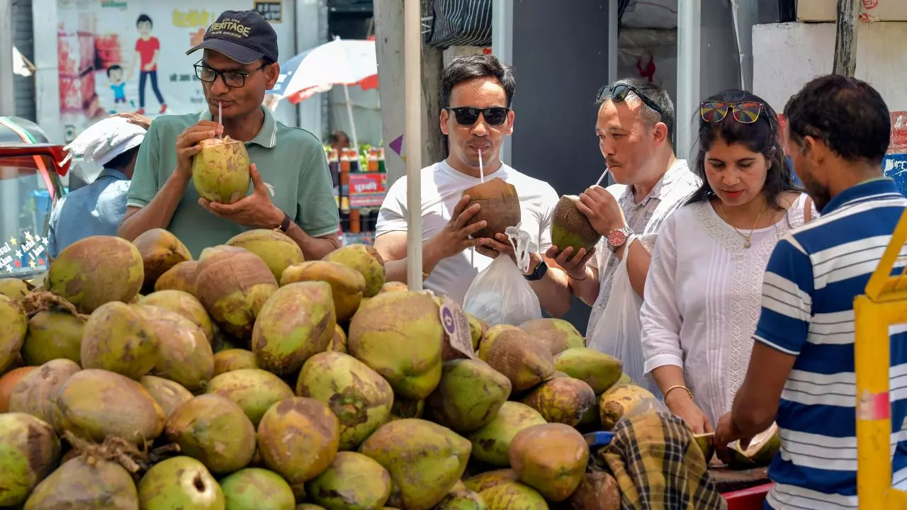 पोषण का खजाना है नारियल, इन स्वादिष्ट तरीकों से कर सकते हैं सेवन