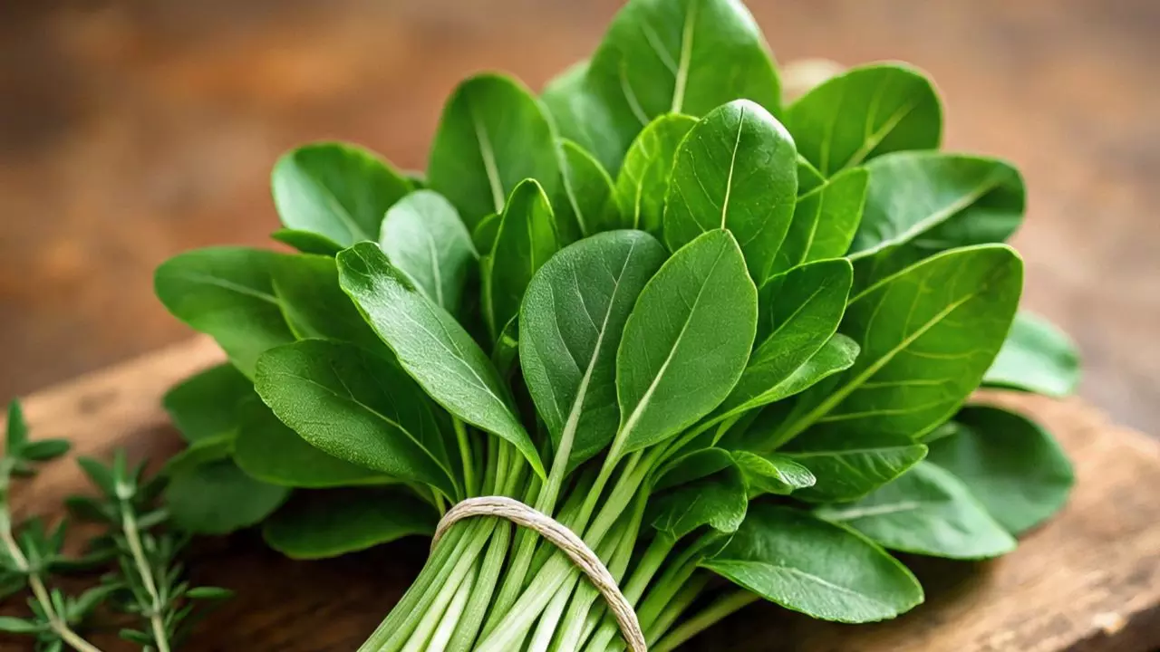 मेथी दाना ही नहीं, मेथी के पत्ते भी हैं डायबिटीज में फायदेमंद