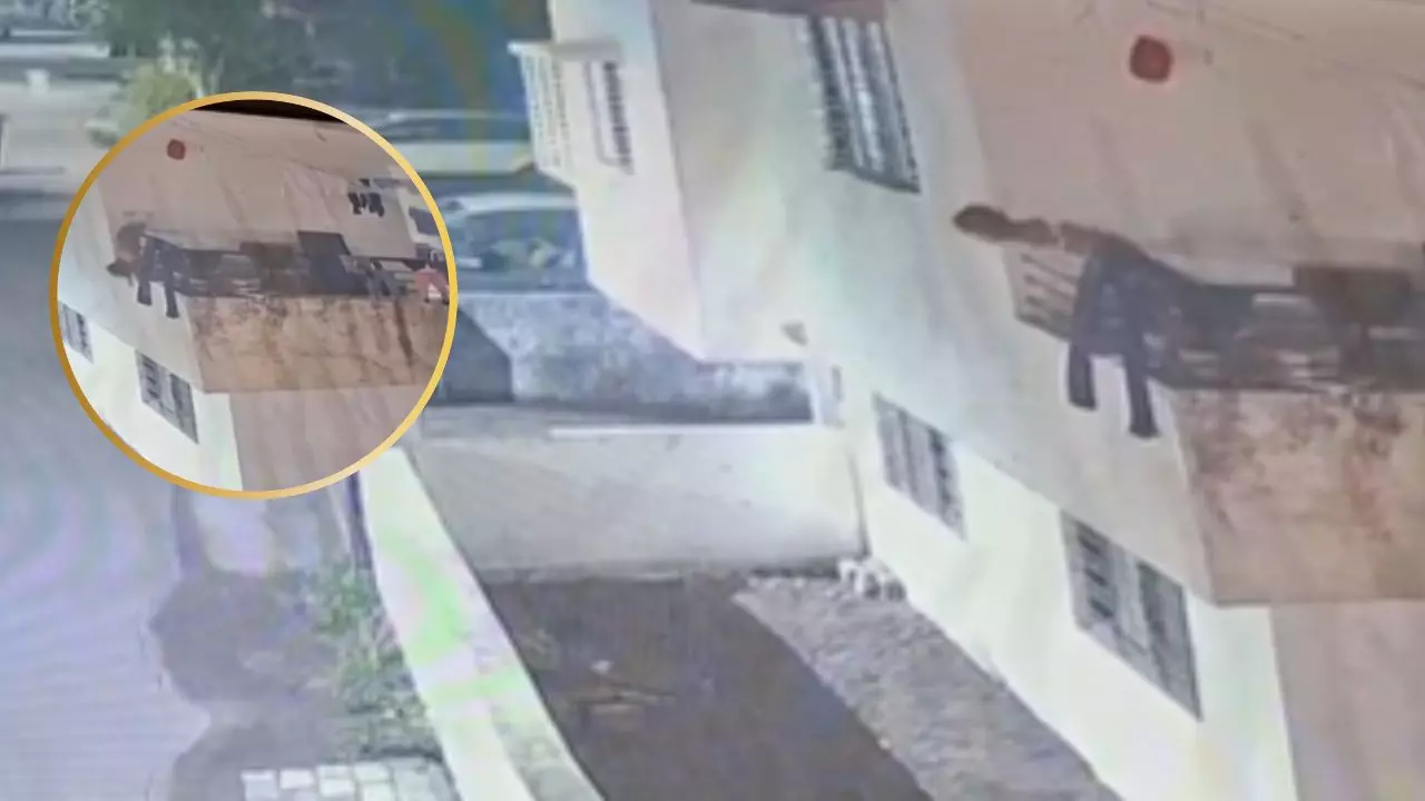 नासिक में छत से गिरा 3 साल का मासूम, सिर पर गंभीर चोट, CCTV में कैद हुआ खौफनाक पल | Video Viral