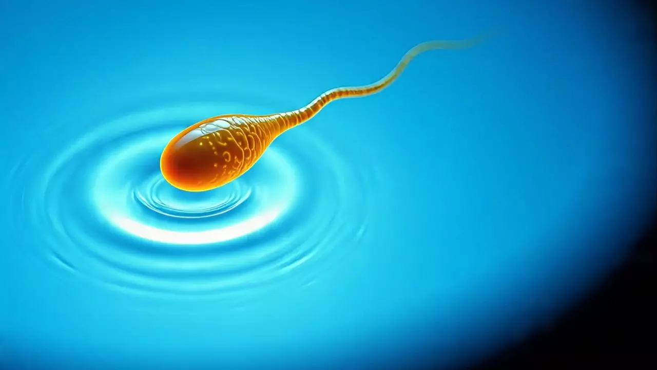 20 साल के लड़के ने जीता Sperm Race कॉम्पिटिशन, इनाम में मिले लाखों