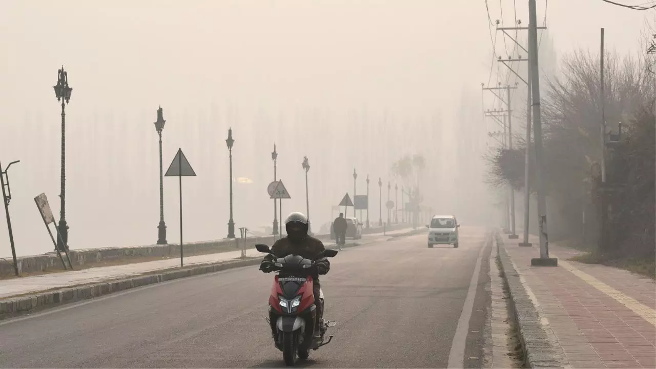 दिल्ली-एनसीआर, यूपी और बिहार में कोहरे के साथ शीतलहर, वीकेंड तक बढ़ेगी ठंड; राजस्थान में हो सकती है बारिश