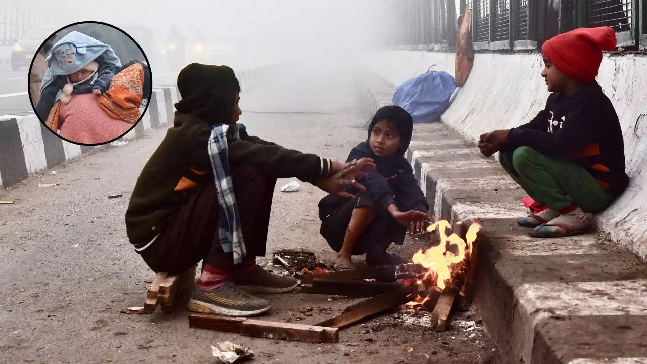 दिसंबर में मौसम ने ली करवट! दिल्ली NCR समेत उत्तर भारत में शीतलहर, दक्षिण में बारिश का कहर; जानें कहां कितना बदला मिज़ाज