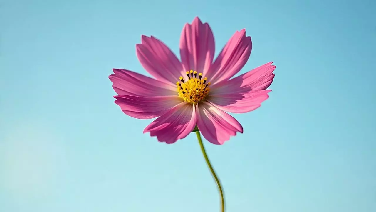 हमारे देश की हवा चोरी हो रही... नीदरलैंड्स ने बेल्जियम पर लगाया अजीबोगरीब आरोप, जानें पूरा मामला