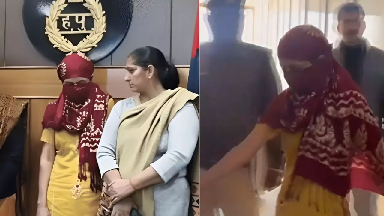 हरियाणा की खूनी मौसी! खूबसूरती के जलन में महिला ने मार डाले 4 बच्चे, जानें क्या कहती है ऐसे क्राइम के पीछे की साइकोलॉजी