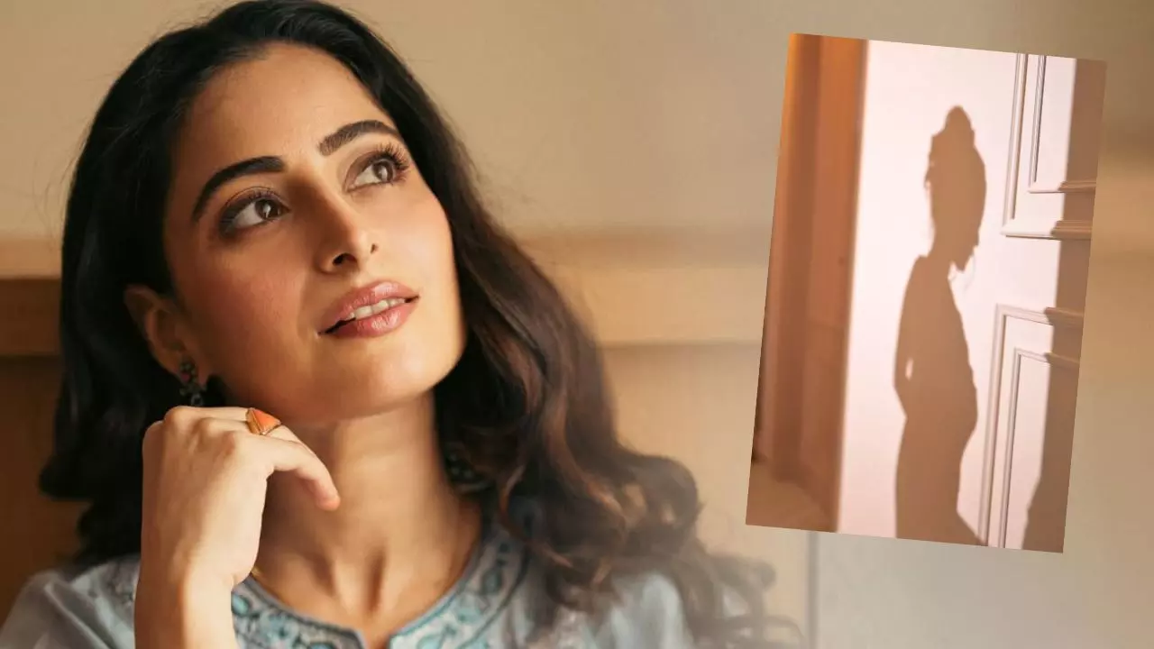 प्रेग्नेंट है Aishwarya Sharma? तलाक की अफवाहों के बीच ब्लैक ड्रेस वाली वीडियो ने मचाई सनसनी