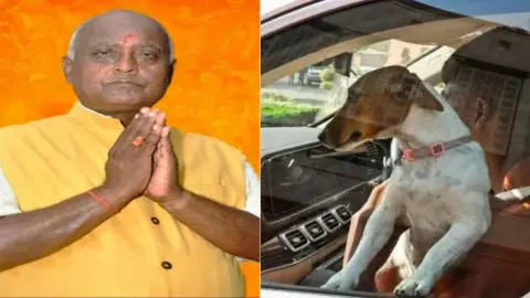 बहुत लेडीज कुत्ता के साथ सोती हैं... कांग्रेस सांसद रेणुका चौधरी को लेकर BJP विधायक का विवादित बयान, सोशल पर वायरल हुआ Video