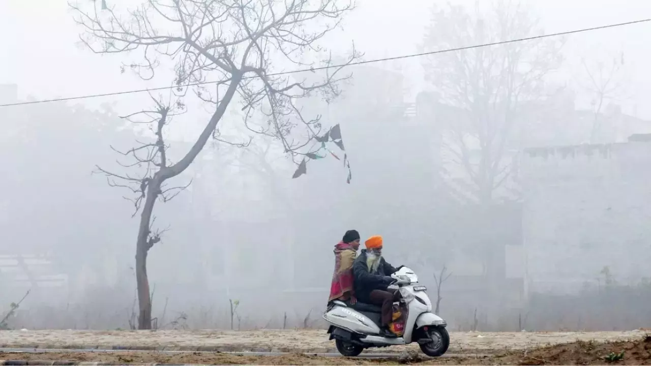 Weather Update: दिल्ली-यूपी में कोहरे की चादर, पहाड़ों में बर्फबारी जारी, इन जगहों पर हो सकती है बारिश, जानें बाकी राज्यों के मौसम का हाल
